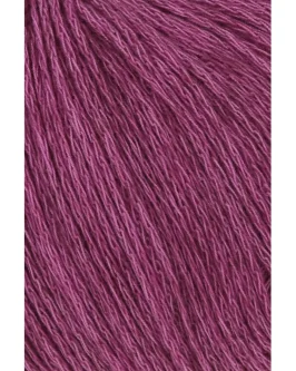 <span class="yarn-title">Vaya</span> <span class="yarn-color">65 Pink</span>