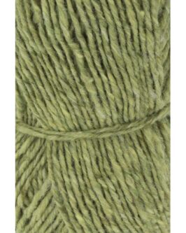 <span class="yarn-title">Donegal Tweed+</span> <span class="yarn-color">16 Hellgrün</span>