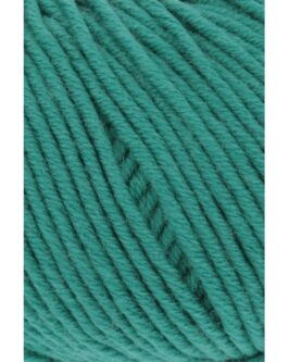 <span class="yarn-title">Merino+</span> <span class="yarn-color">117 Grün</span>