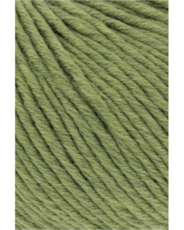 <span class="yarn-title">Merino+</span> <span class="yarn-color">297 Hell Olive Mélange</span>