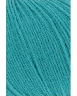 <span class="yarn-title">Merino 200 Bebe</span> <span class="yarn-color">378 Aqua</span>