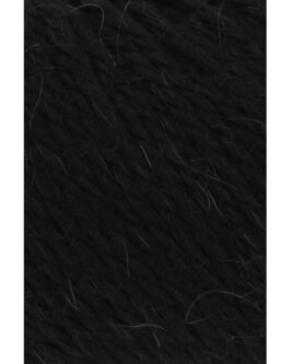 <span class="yarn-title">Carpe Diem</span> <span class="yarn-color">4 Schwarz</span>