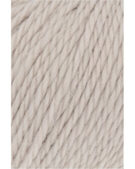 <span class="yarn-title">Carpe Diem</span> <span class="yarn-color">26 Sand</span>