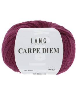 <span class="yarn-title">Carpe Diem</span> <span class="yarn-color">64 Rubin</span>