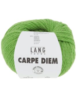 <span class="yarn-title">Carpe Diem</span> <span class="yarn-color">116 Hellgrün</span>