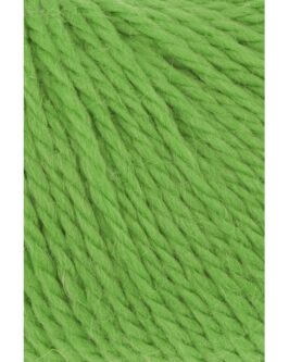 <span class="yarn-title">Carpe Diem</span> <span class="yarn-color">116 Hellgrün</span>