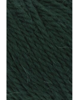 <span class="yarn-title">Carpe Diem</span> <span class="yarn-color">118 Dunkelgrün Mélange</span>