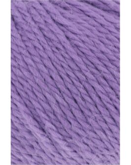 <span class="yarn-title">Carpe Diem</span> <span class="yarn-color">146 Lila</span>