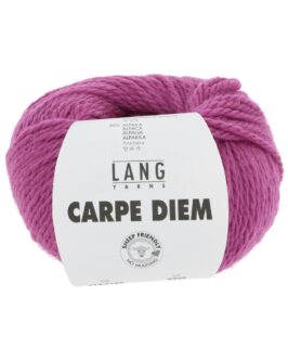 <span class="yarn-title">Carpe Diem</span> <span class="yarn-color">165 Fuchsia</span>