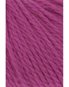 <span class="yarn-title">Carpe Diem</span> <span class="yarn-color">165 Fuchsia</span>