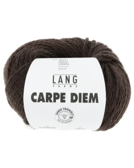 <span class="yarn-title">Carpe Diem</span> <span class="yarn-color">168 Schokolade</span>