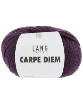 <span class="yarn-title">Carpe Diem</span> <span class="yarn-color">180 Aubergine</span>