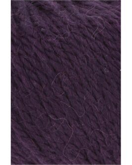 <span class="yarn-title">Carpe Diem</span> <span class="yarn-color">180 Aubergine</span>