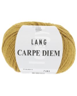<span class="yarn-title">Carpe Diem</span> <span class="yarn-color">211 Bronze</span>