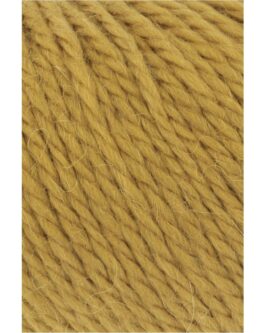 <span class="yarn-title">Carpe Diem</span> <span class="yarn-color">211 Bronze</span>