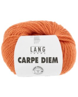 <span class="yarn-title">Carpe Diem</span> <span class="yarn-color">259 Kürbis</span>