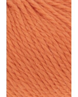 <span class="yarn-title">Carpe Diem</span> <span class="yarn-color">259 Kürbis</span>
