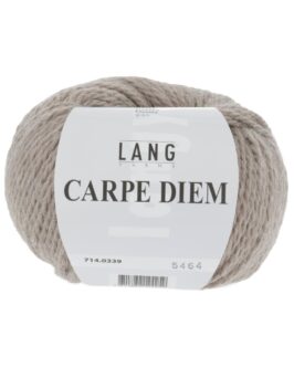 <span class="yarn-title">Carpe Diem</span> <span class="yarn-color">339 Camel Mélange</span>