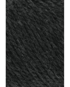 <span class="yarn-title">Carpe Diem</span> <span class="yarn-color">370 Anthrazit Mélange</span>