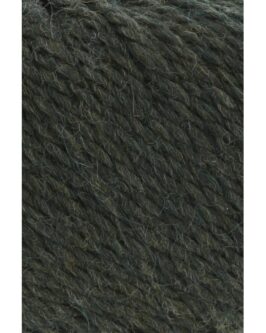 <span class="yarn-title">Carpe Diem</span> <span class="yarn-color">398 Olive Mélange</span>