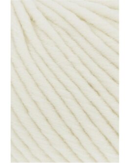 <span class="yarn-title">Merino 50</span> <span class="yarn-color">1 Weiss</span>