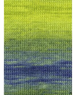 <span class="yarn-title">Merino+ Color</span> <span class="yarn-color">44 Limone/<wbr>Petrol</span>