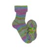 Opal Paradise 6-fach 11020 Quelle Der Freude