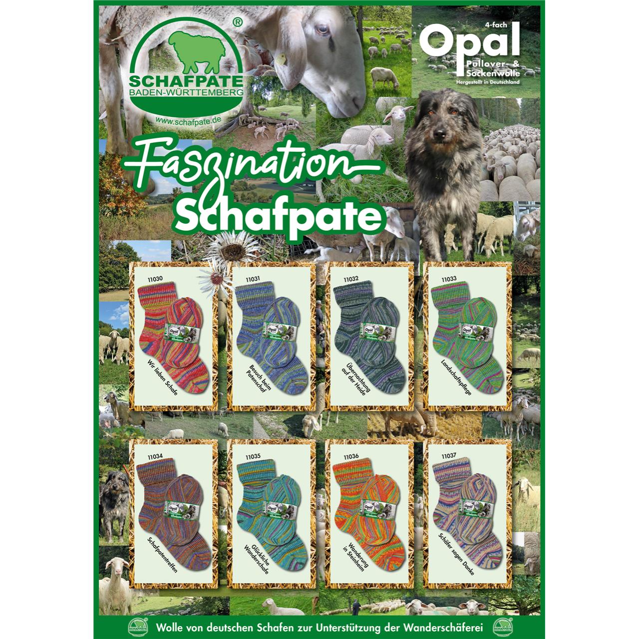Opal Schafpate 13 4-fach 11037 Schäfer Sagen Danke