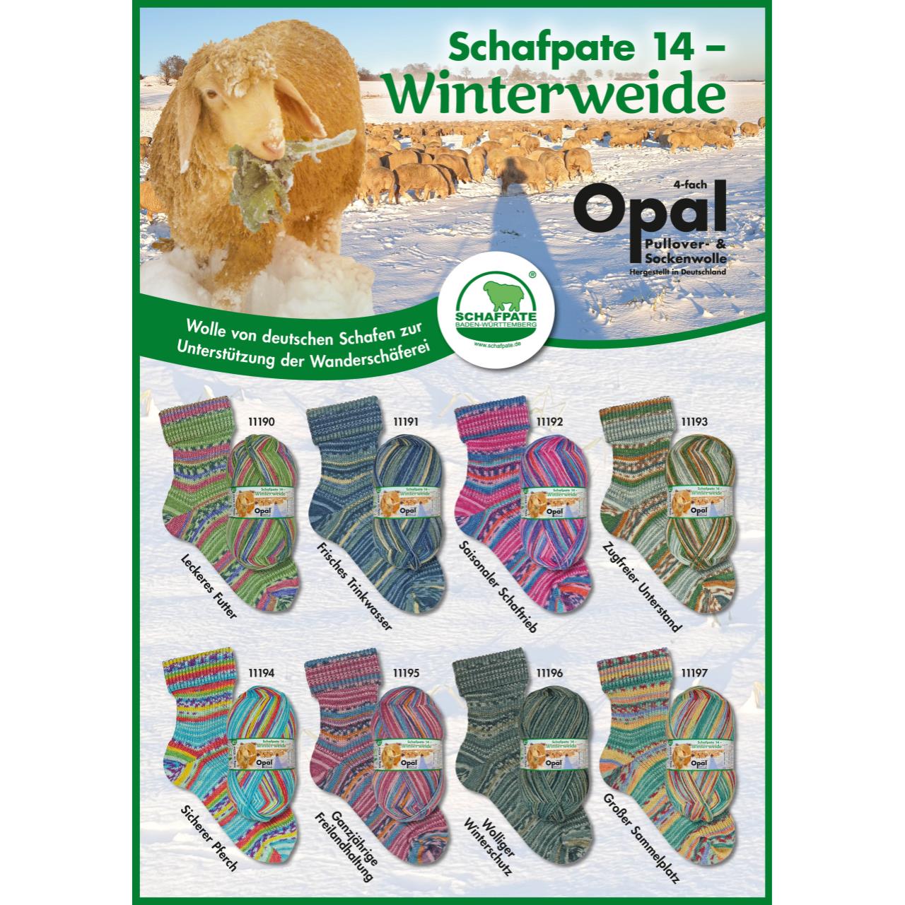 Opal Schafpate 144-fach - Winterweide 11191 Frisches Trinkwasser