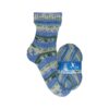 Opal X-Large Eispalast 8-fach 11010 Vereister Burggraben