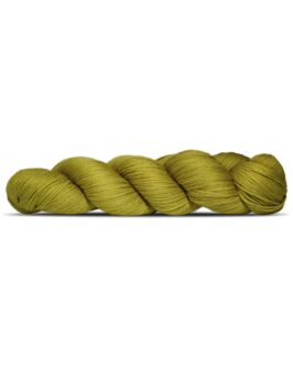 <span class="yarn-title">Cheeky Merino Joy</span> <span class="yarn-color">145 Olive</span>
