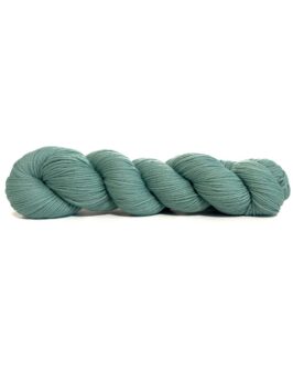 <span class="yarn-title">Cheeky Merino Joy</span> <span class="yarn-color">162 Mint</span>