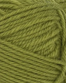 <span class="yarn-title">PetiteKnit Peer Gynt</span> <span class="yarn-color">9564 Matcha</span>