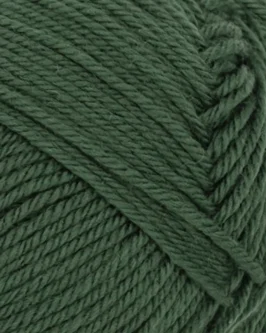 <span class="yarn-title">Babyull Lanett</span> <span class="yarn-color">8082 Skoggrønn</span>