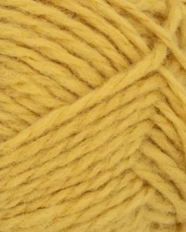 <span class="yarn-title">Fritidsgarn</span> <span class="yarn-color">2015 Maisgul</span>