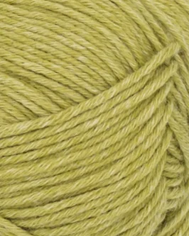 <span class="yarn-title">Duo</span> <span class="yarn-color">9825 Sunny Lime</span>