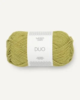 <span class="yarn-title">Duo</span> <span class="yarn-color">9825 Sunny Lime</span>