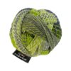 Zauberball® Crazy 2204 Grüne Woche