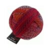 Zauberball® Crazy 2231 Buntmetall