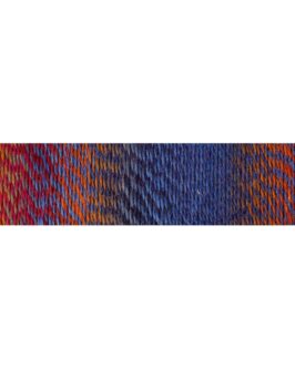 <span class="yarn-title">Zauberball® Crazy</span> <span class="yarn-color">2248 Zimtschnecke</span>