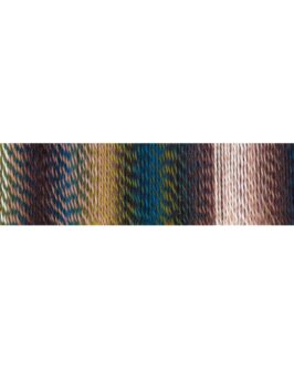 <span class="yarn-title">Zauberball® Crazy</span> <span class="yarn-color">2250 Jacke Wie Hose</span>