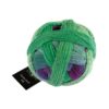 Zauberball® 100 2437 Alles Paletti