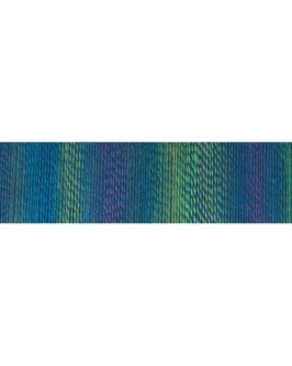 <span class="yarn-title">Edition 6</span> <span class="yarn-color">2298 Waschtag</span>