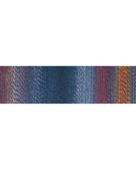 <span class="yarn-title">Edition 6</span> <span class="yarn-color">2299 Wärmebild</span>