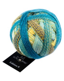 <span class="yarn-title">Edition 6</span> <span class="yarn-color">2401 Teils Heiter</span>