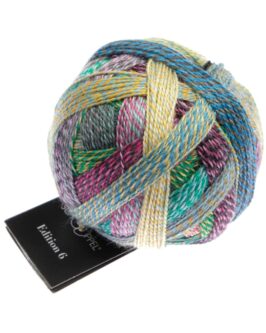 <span class="yarn-title">Edition 6</span> <span class="yarn-color">2511 All Inclusiv</span>