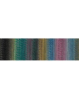 <span class="yarn-title">Edition 6</span> <span class="yarn-color">2511 All Inclusiv</span>