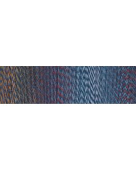 <span class="yarn-title">Edition 3</span> <span class="yarn-color">2299 Wärmebild</span>