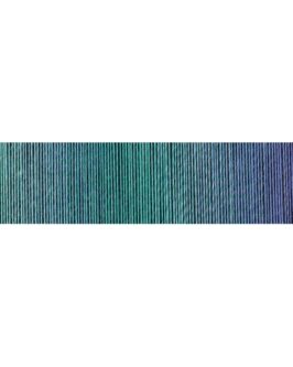 <span class="yarn-title">Zauber Flower</span> <span class="yarn-color">2437 Alles Paletti</span>