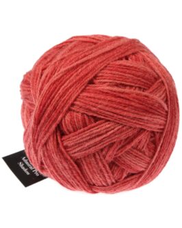<span class="yarn-title">Admiral Pro Shadow</span> <span class="yarn-color">2371 Roter Ocker</span>